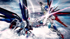 Mobile Suit Gundam Seed Destiny 49(dub)