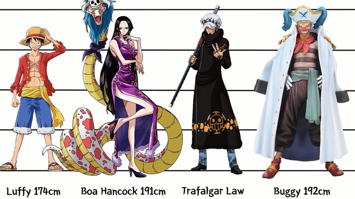 王路飞，你给家族丢脸了！2019海贼王角色身高对比 - 官方数据 1080 x 1920