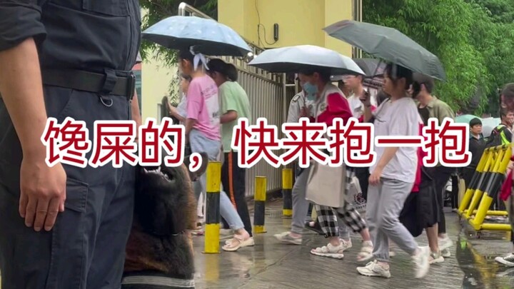 A police dog that’s serious for no more than three seconds—just by reading the title, you’ll know wh