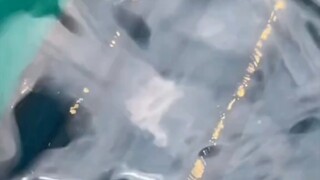 الأسطورة الذهبية