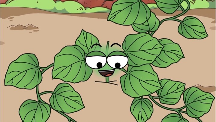 Potong satu melon dan panen sekeranjang "melon kuat"