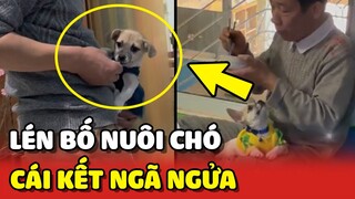 Lén NUÔI CHÓ vì bố mẹ GHÉT CHÓ MÈO và cái kết NGÃ NGỬA 😂 | Yêu Lu