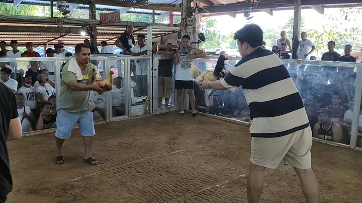 kanawayon hatch subok sa basaan.