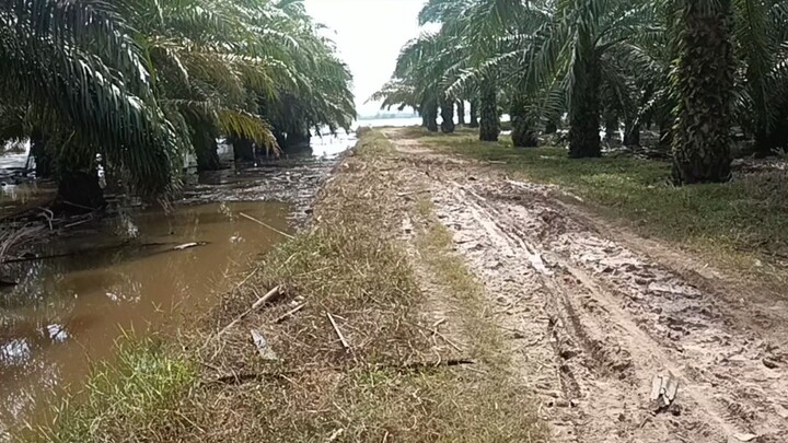 #ALHAMDULILLAH banjir udah mulai surut airnya.