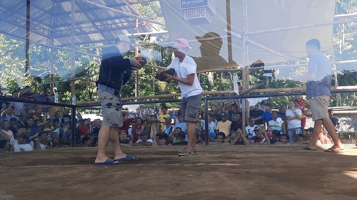 pumpkin sweater over kanawayon hatch