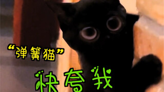 Heaven hasn't been too harsh on me—my little black cat turns out to be a "spring cat"! She's incredi