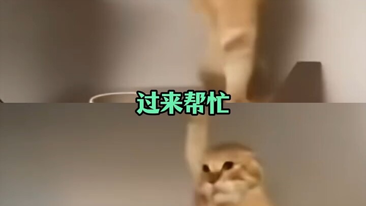 It’s terrifying—stay far away from these kind of “伥鬼” friends!