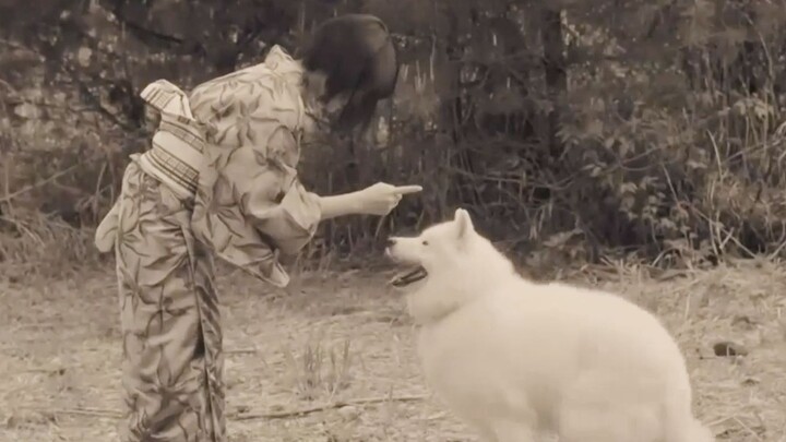 The girl asked the dog to wait for her, but she remembered it half a year later. When she went back,