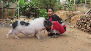 🐷รู้สึกวันนี้น้องรวยจะอ้อนคุณยายเป็นพิเศษเลยนะ🥰