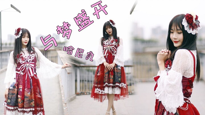 【Hani 9】Nở rộ cùng giấc mơ ❤ Giấc mơ vô hạn lớn