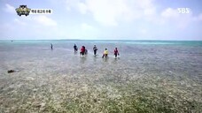 Law of the Jungle in Caribbean/Maya Jungle [4] ENG SUB