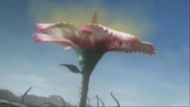 Mammoth Flower Juran Sound Effect