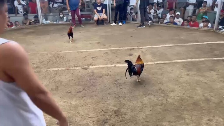 URBAN KNIGHTS 1 1ST FIGHT MUNTINLUPA COLISEUM