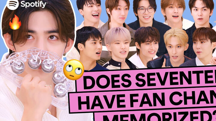 240503 SEVENTEEN Spotify CARAT Fan Chant | K-Pop ON! Playlist ZIP PARTY