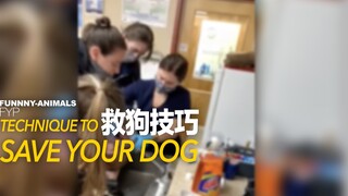 This trick can save a dog's life