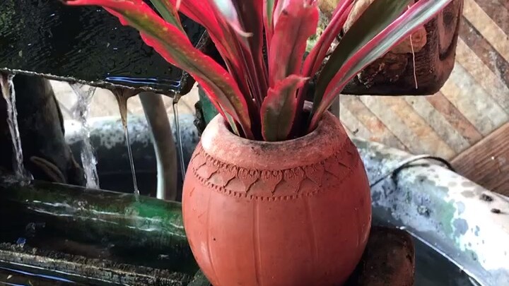 ธรรมชาติ