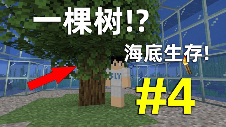 Minecraft: How to Survive Underwater Starting with Just One Tree? Episode 4, Underwater Base