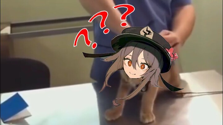 胡桃配音现场
