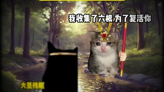 ฉันรวบรวมมาหกอัน ก็เพื่อจะฟื้นคืนชีพคุณ