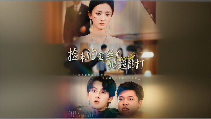 The Fragile Doll That Hit Hard