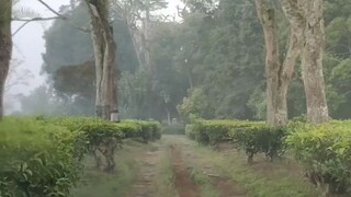Pangalengan makam boshca