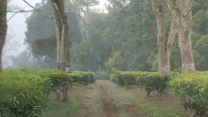 Pangalengan makam boshca