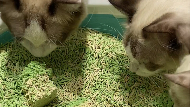 Maybe it’s because I’m reminiscing about those beautiful days of playing with mud as a kid.