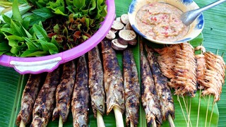 Thử Một Lần Về Miền Tây ! "Lai Rai" Cá Lóc Nướng Chấm Mắm Bần | MTQH