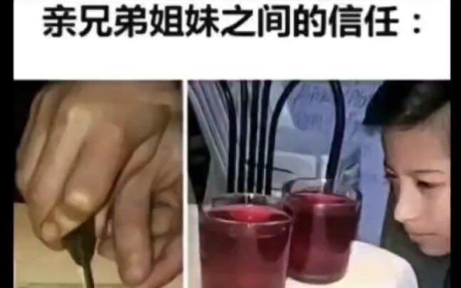 Loạt phim chân thực