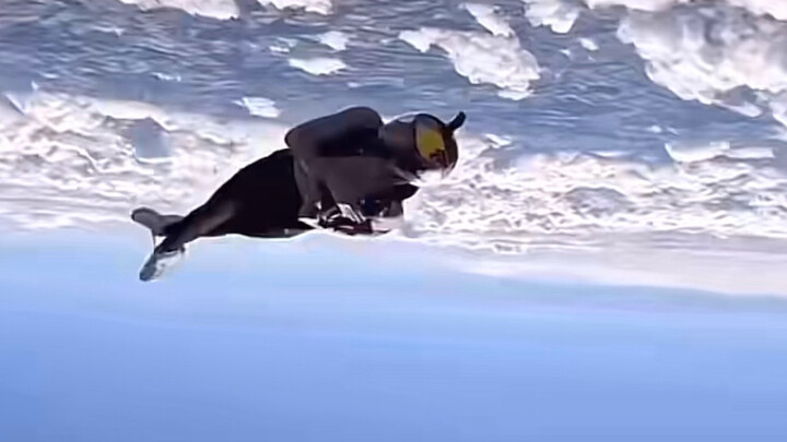 Chuẩn bị đi học rồi, mọi người chơi có vui không?