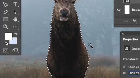 Tutorial Photoshop Edisi 4