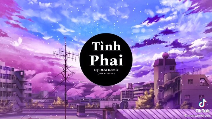 Tình phai