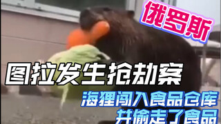 A robbery occurred in Tula, where beavers broke into a food warehouse and stole food. A criminal cas