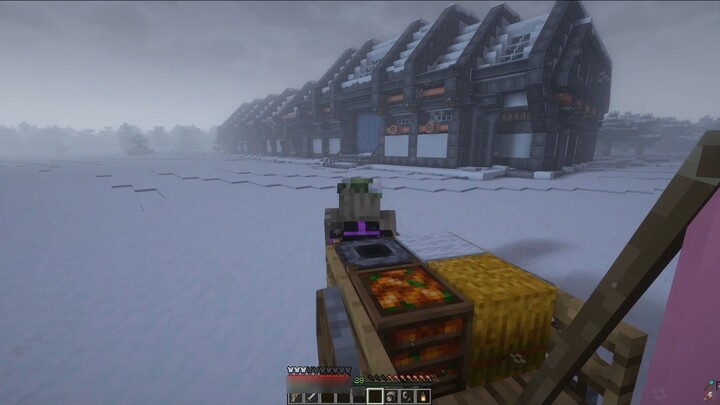 It seems that someone has converted the workshop into a greenhouse to protect against the doomsday w