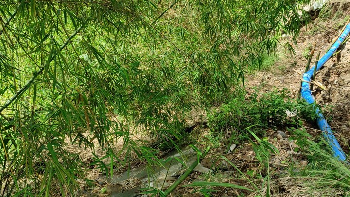 My...Kawanan Shower...