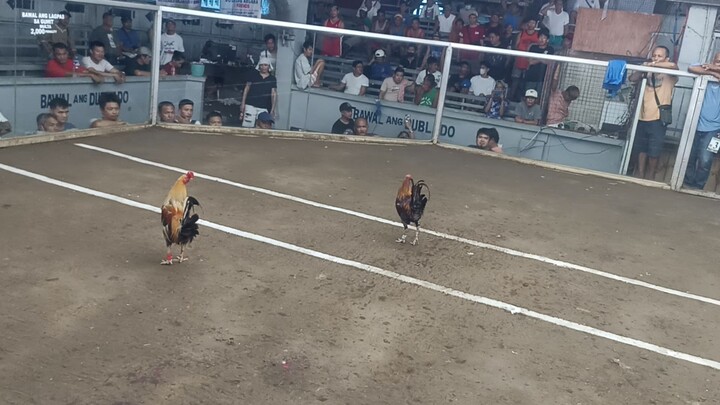 Pumpkin Sweater wins! @ Muntinlupa Coliseum