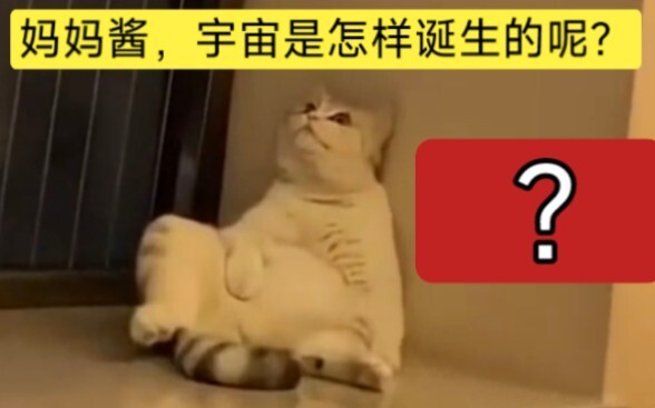 Chỉ thích những chú mèo vàng thần kỳ thế này hahaha…