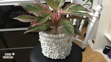 DIY Upgraded Plant Pot