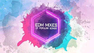 EDM MIXES