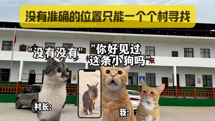 Câu chuyện đằng sau bộ ảnh chế “chú chó ong mật” nổi tiếng trên mạng