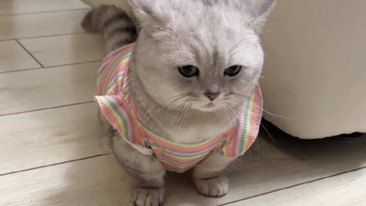 Mẹ ơi, mẹ thật là trẻ con…