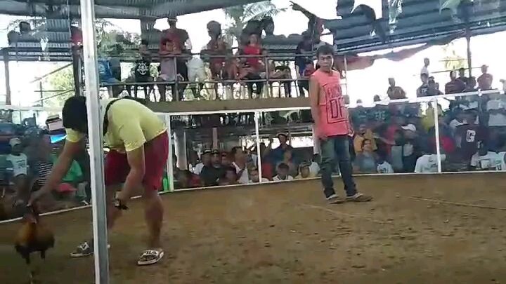 My 2x winner gold laki ng kalaban