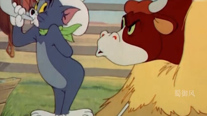 Tom and Jerry "This Worship" MV