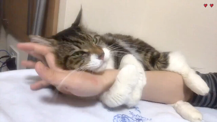 Another clingy little sprite—so whether it’s because of COVID or not, you just can’t go out.