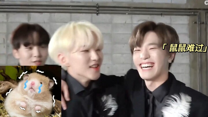 hoshi và HOSHI!!!!