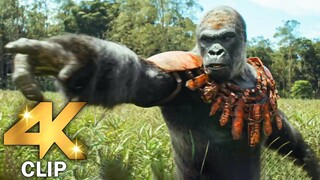 KINGDOM OF THE PLANET OF THE APES All CLIPS + Trailer (4K ULTRA HD) 2024