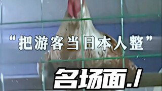 把游客当日本人整