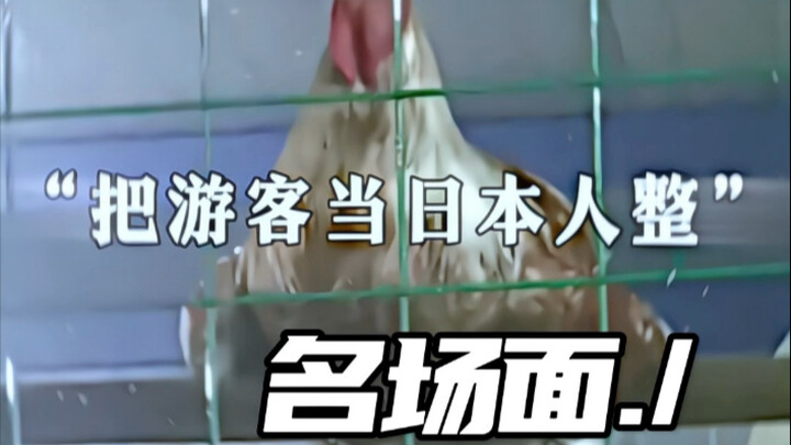 ทำเหมือนนักท่องเที่ยวเป็นคนญี่ปุ่น