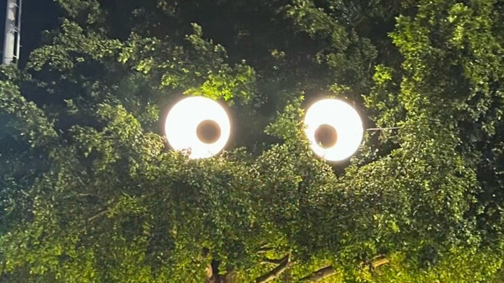 “Never mind, you probably think it’s boring.”