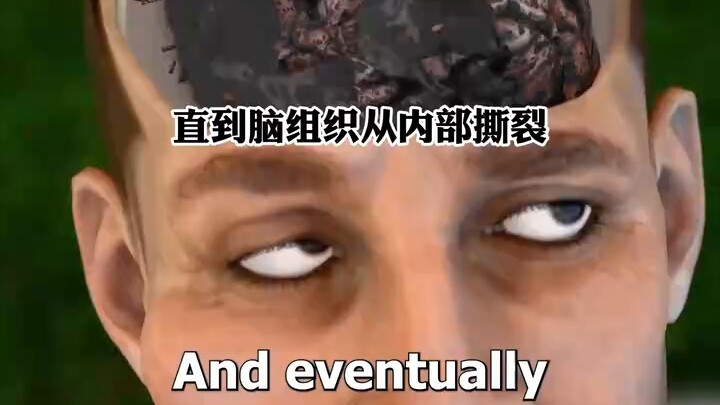 เกร็ดความรู้ยอดฮิต